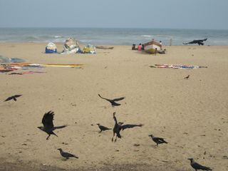 IMG_0907